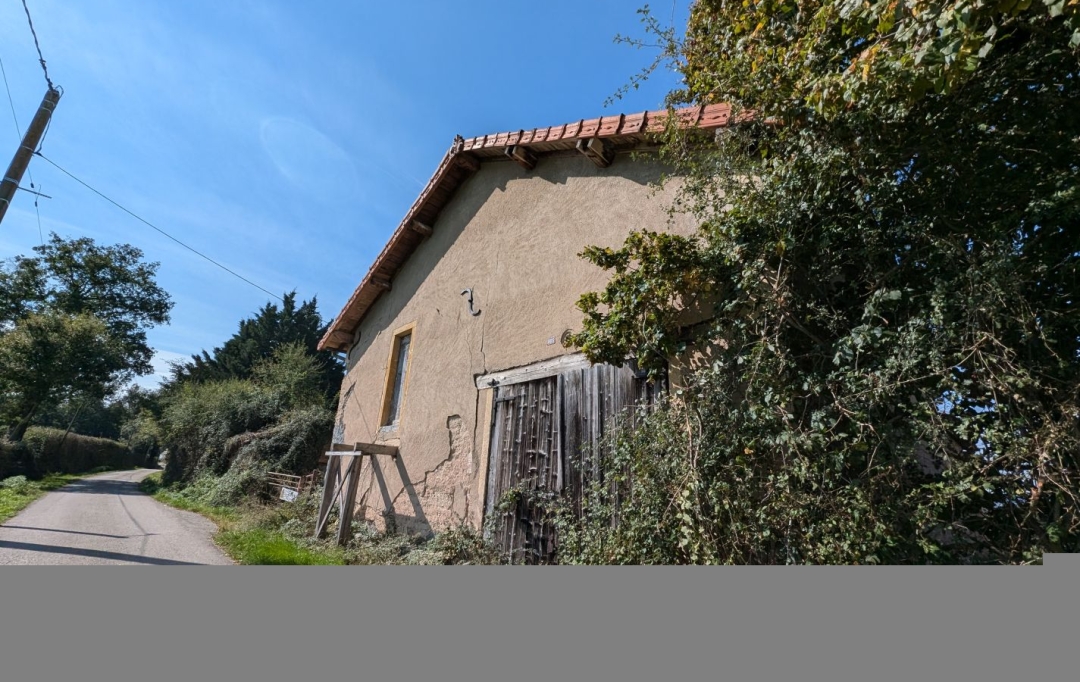  CHAUVET IMMOBILIER : Maison / Villa | VIVANS (42310) | 0 m2 | 79 000 € 